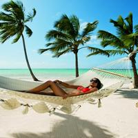 Отзыв от Лариса - DTV виза